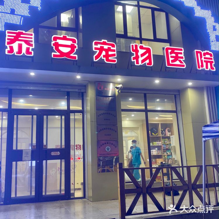 沈阳｜安利一家靠谱的宠物医院给大家