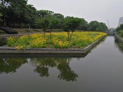 -蠡湖大桥公园