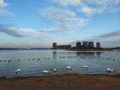 -郑东新区湿地公园