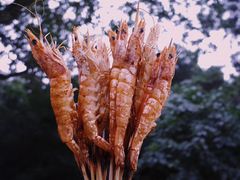 -龙寺生态园