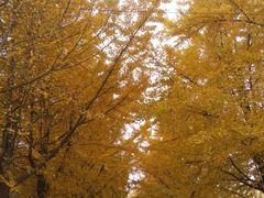 -辽东学院(南校区)