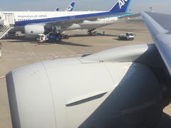 -全日本空输株式会社(上海办事处)