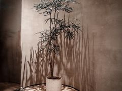 -二酉书店TOYOU BOOKS