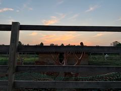 -安德鲁户外烧烤帐篷营地(马泉营店)