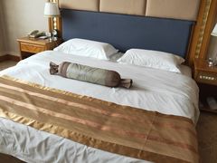 -长春海航长白山宾馆