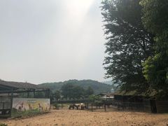 -无锡动物园·太湖欢乐园