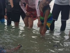 -马达京岛
