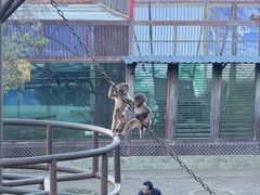 -昆明动物园