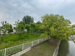 -美兰湖景区