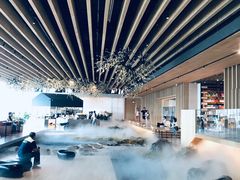 -Seesaw Coffee(朝阳大悦城店)