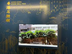-大馆(前中区警署建築群)
