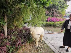 -春风松月楼(七宝万科店)