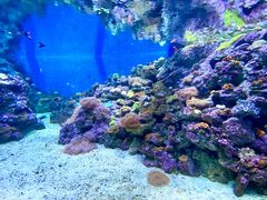 -成都浩海立方海洋公园