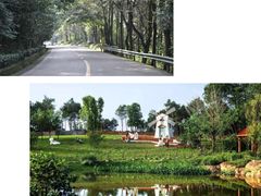 -铁山坪森林公园