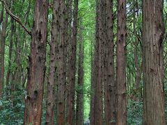 -同里国家湿地公园