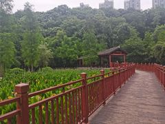 -重庆彩云湖湿地公园