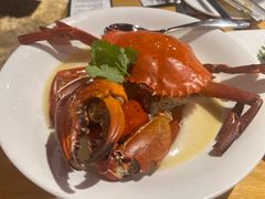 螃蟹炖蛋-同乐轩