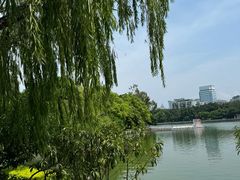 -西湖公园(鼓楼区)