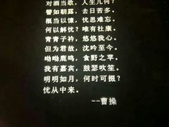 -胡桃里乐队酒馆(鎏嘉码头店)