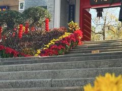 -国恩寺