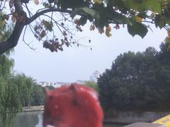 -非遗近水楼糕团(景德路店)