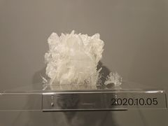 -知美术馆