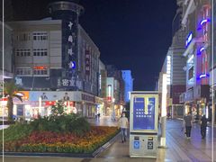 -沙洲路步行街(长安南路店)