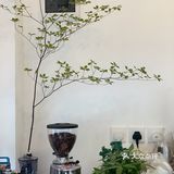 澳门咖啡地图｜四家值得去的小众咖啡店