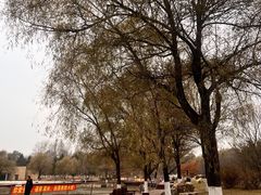 -长春世界雕塑园冰雪艺术天地