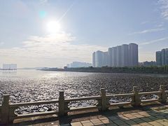 -观澳平台