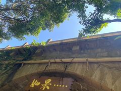 -三亚亚龙湾人间天堂鸟巢度假村