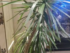 -白氏兄弟烧烤(锦绣时光店)