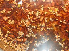 -胖子鱼·天水麻辣鱼火锅(秦州407店)