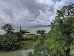 -深圳湾公园-停车场
