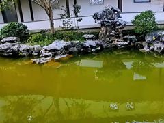 -秋霞圃