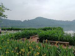 -顺峰山公园