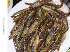 -凯华海鲜火锅·传承三十六年