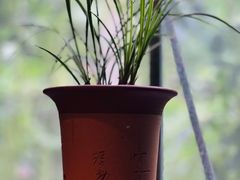 -鮨匠·割烹料理(巨鹿花园店)