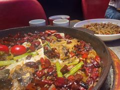 -老板恋上鱼(恒隆广场店)