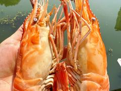 -蟹村草堂·苏式园林人文农家·大闸蟹