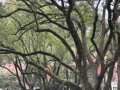 -浙江大学(玉泉校区)