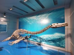 -自贡恐龙博物馆