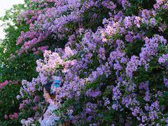 -杭州城北体育公园