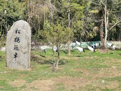 -杭州野生动物世界