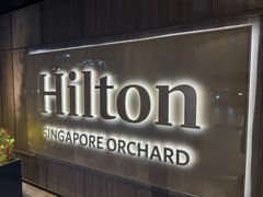 -新加坡乌节希尔顿酒店 (SG Clean)