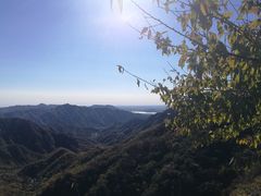 -大岭沟猕猴桃谷风景区