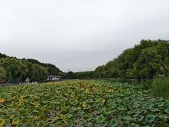 -北山公园