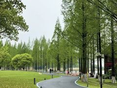 -南宁南湖公园