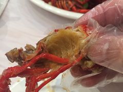 -香满锅老北京羊蝎子火锅·家常菜(新街口店)