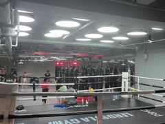 -花环泰拳·勒德斯拉泰拳馆(静安店)